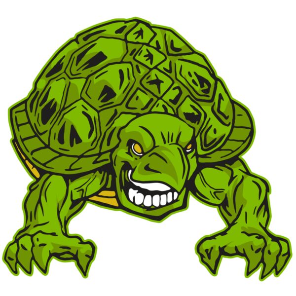 AR31 TURTLE 03 RQC Thumbnail